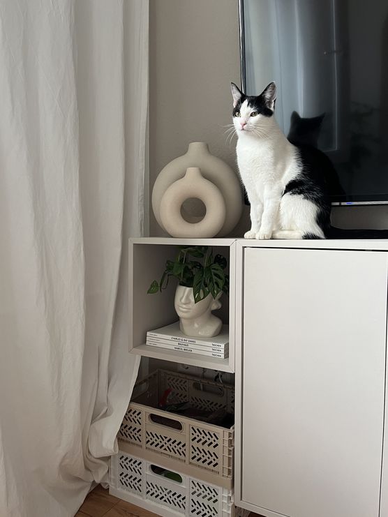 Das Sideboard hat nun Das Sideboard hat nun