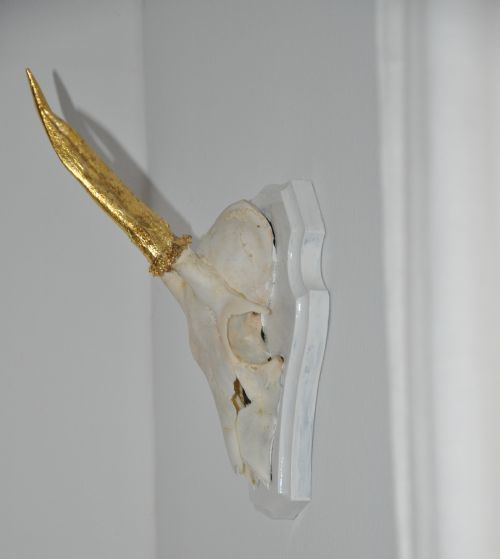 DIY: Geweih DIY: Geweih