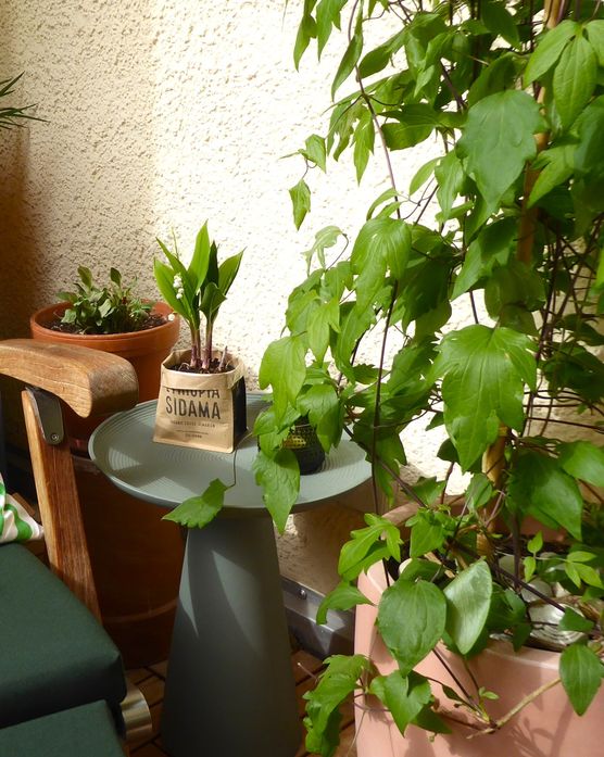 Ein neuer Tisch für Ein neuer Tisch für