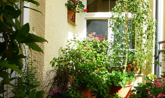 Es sieht zwar nicht Es sieht zwar nicht