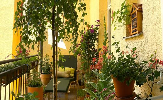 Das ist mein Lieblingsleseplatz. Das ist mein Lieblingsleseplatz.