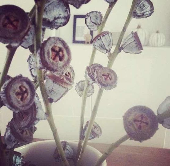 Bild von Mucki2016 Bild von Mucki2016