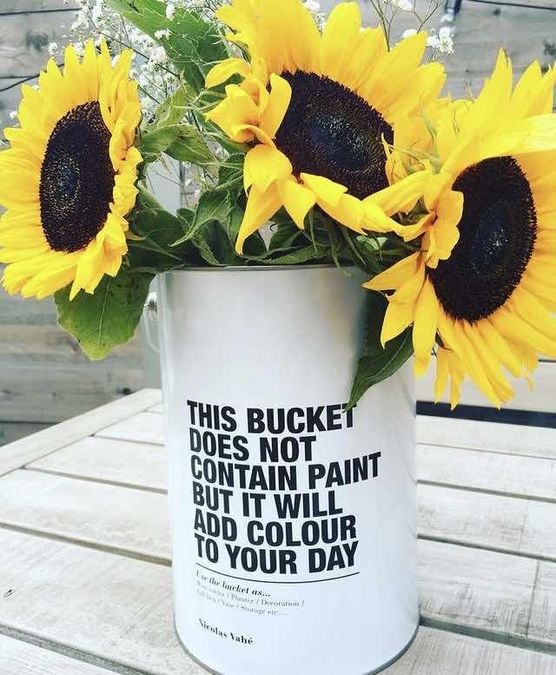 Bild von Mucki2016 Bild von Mucki2016