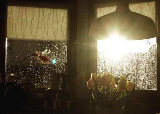 after the rain after the rain