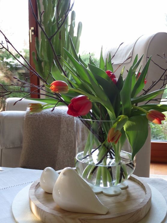 Lieblingsplatz am Fenster Lieblingsplatz am Fenster