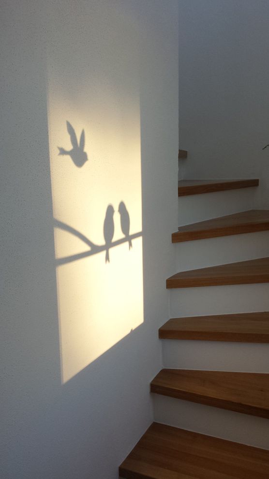 Schattenspiel ... Schattenspiel ...