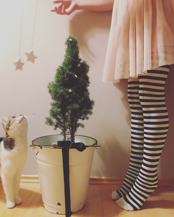 ⭐️Ich wünsche allen eine ⭐️Ich wünsche allen eine