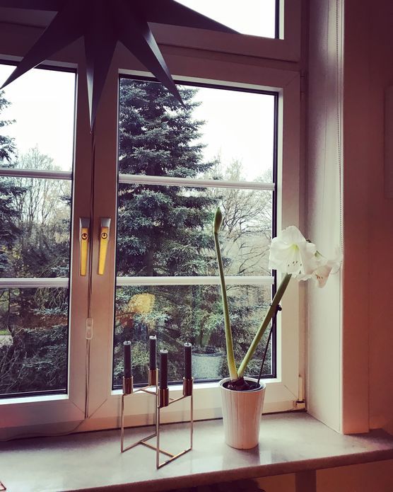 Wintertime Wintertime