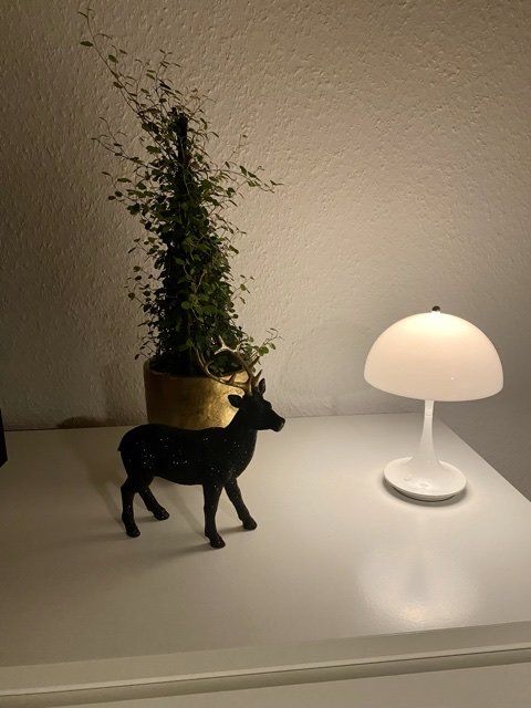 Wechselt ihr auch immer Wechselt ihr auch immer