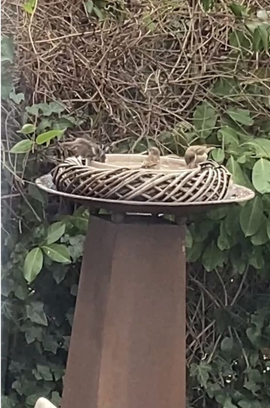 Mein heutiger Blick aus Mein heutiger Blick aus