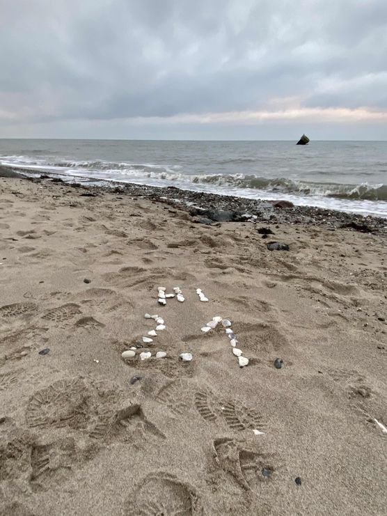 Bild von Strandleben Bild von Strandleben