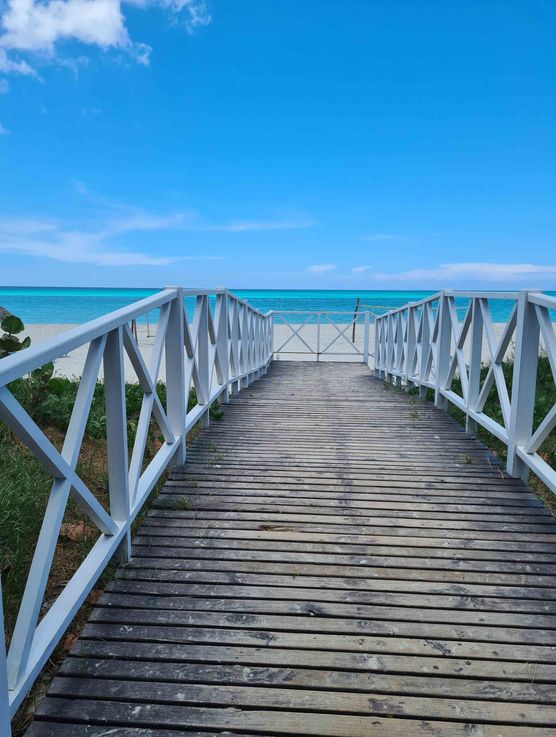 Bild von Skofin Bild von Skofin