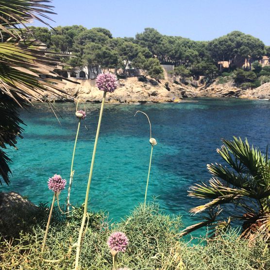 Noch mehr Urlaubsimpressionen! Noch mehr Urlaubsimpressionen!