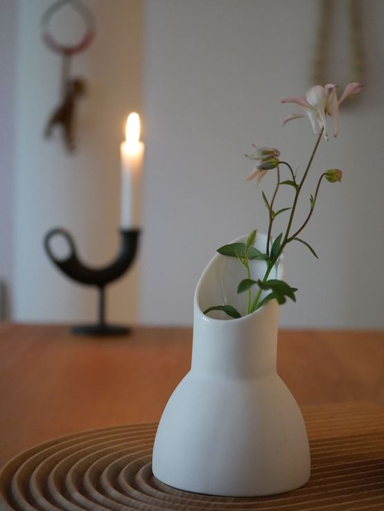 Akkelei im Milchkännchen Akkelei im Milchkännchen