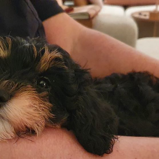 Das ist er! Mein Das ist er! Mein