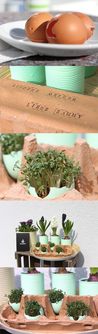 So kams - Ostergrüße für Sammy! So kams - Ostergrüße für Sammy!