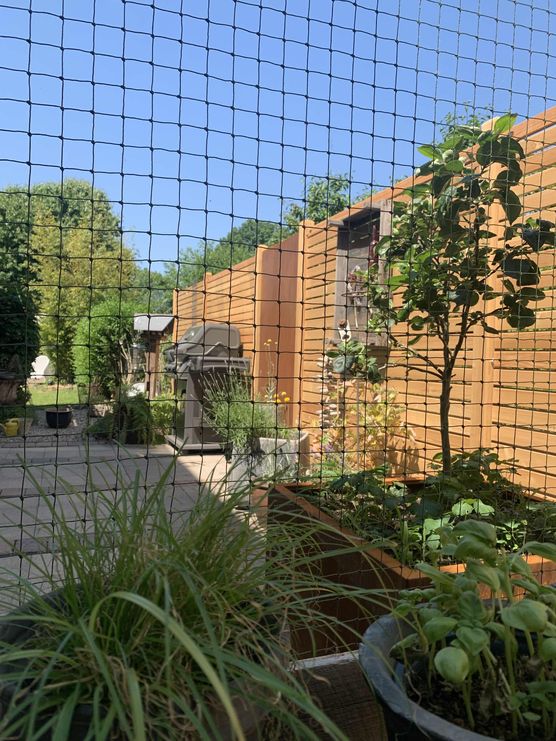 Bild von Manu Pe Bild von Manu Pe