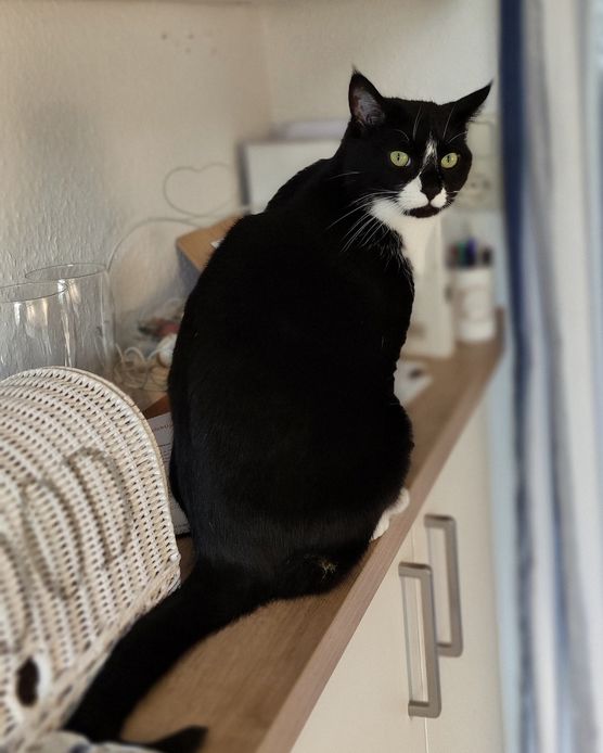 Bild von Ariane Pe Bild von Ariane Pe