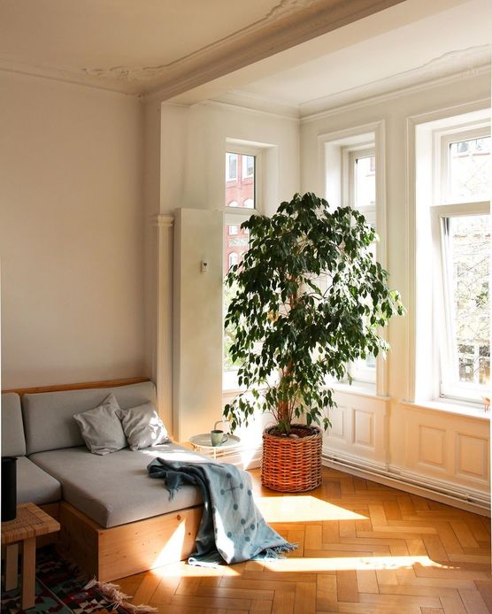 Dieses Licht! Ich liebe Dieses Licht! Ich liebe