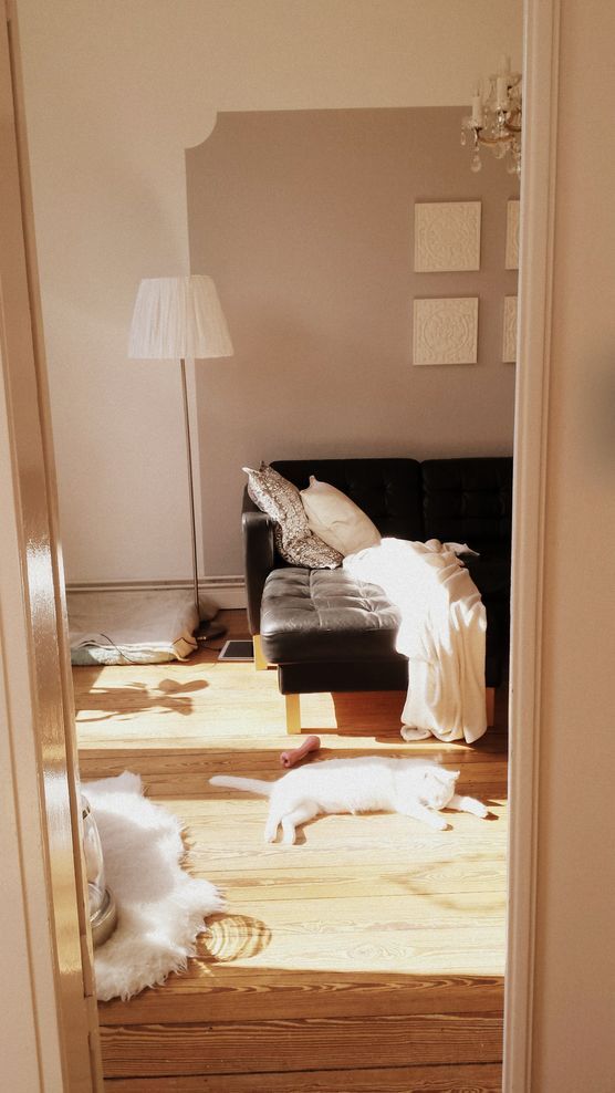 Sonnenanbeter Sonnenanbeter