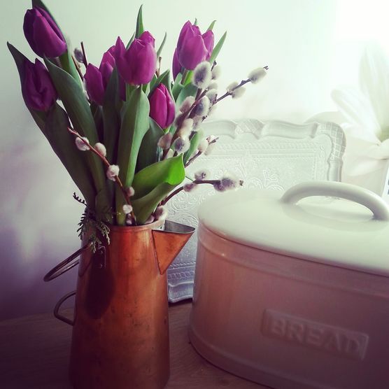 der frühling ist eingezogen der frühling ist eingezogen