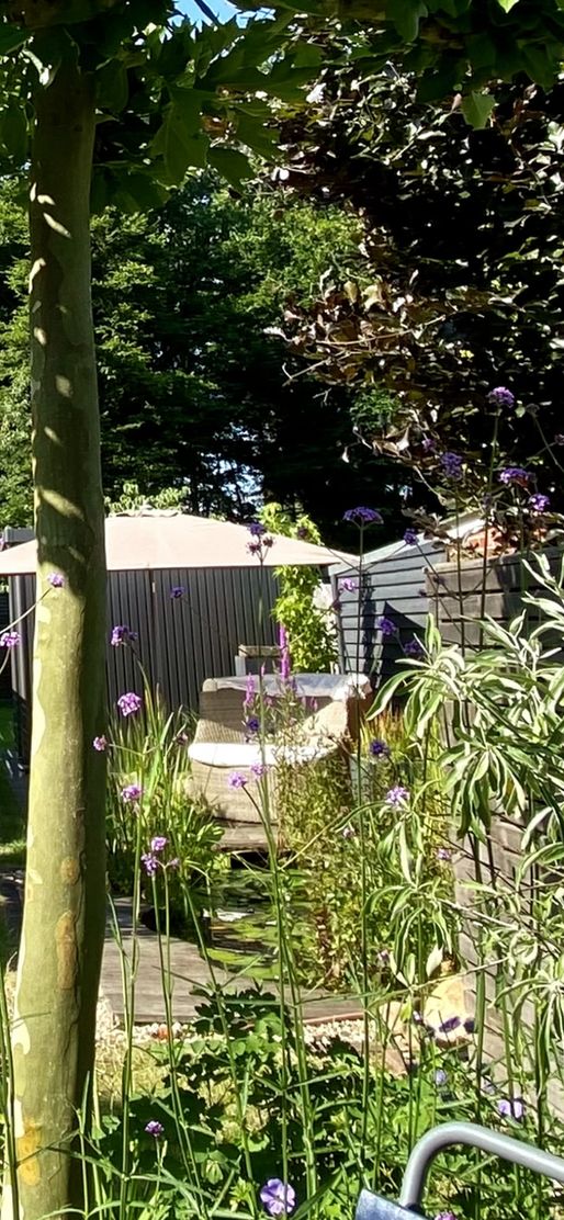 Bild von linnikarlo Bild von linnikarlo