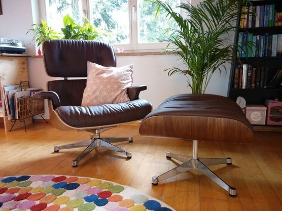 Neue Wohnung neuer Sessel Neue Wohnung neuer Sessel