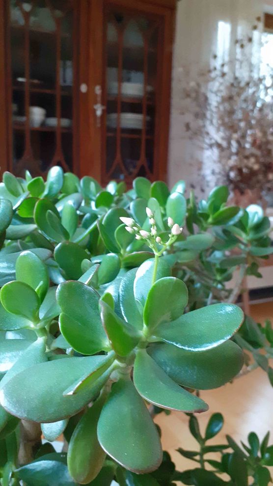 Bild von STURZEL Bild von STURZEL