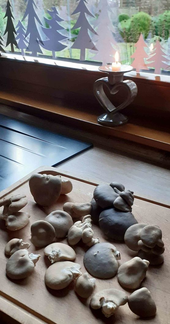 Bild von STURZEL Bild von STURZEL