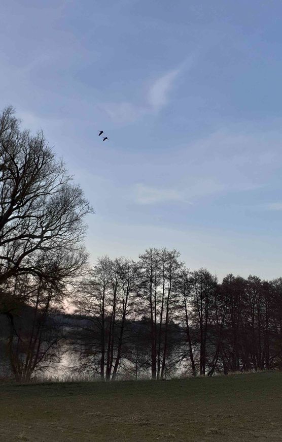 Bild von STURZEL Bild von STURZEL