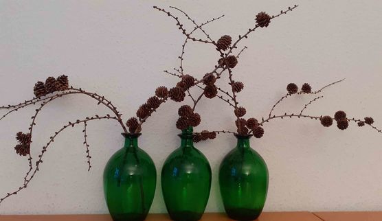 Bild von STURZEL Bild von STURZEL