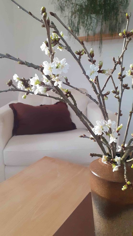 Bild von STURZEL Bild von STURZEL