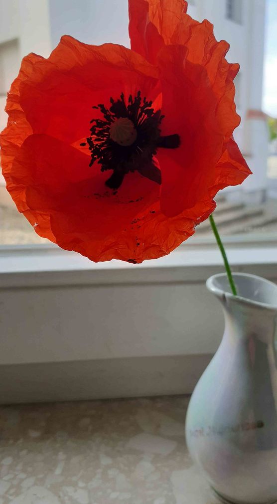 Bild von STURZEL Bild von STURZEL