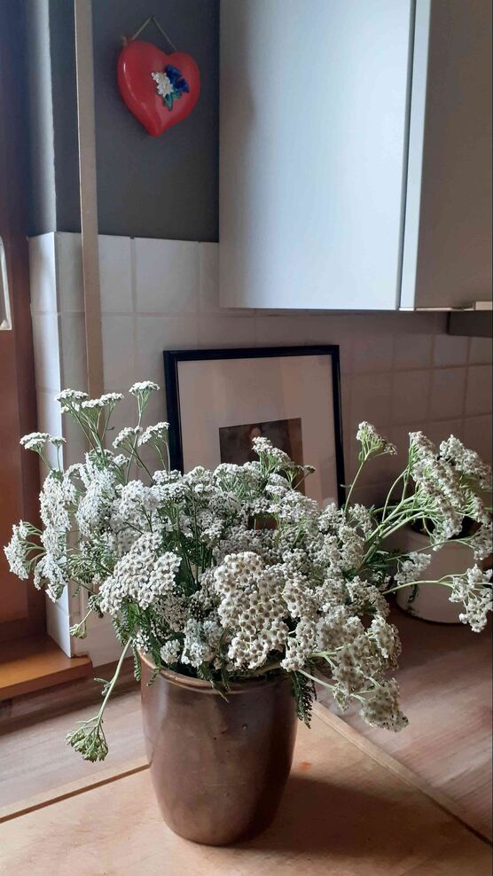 Bild von STURZEL Bild von STURZEL