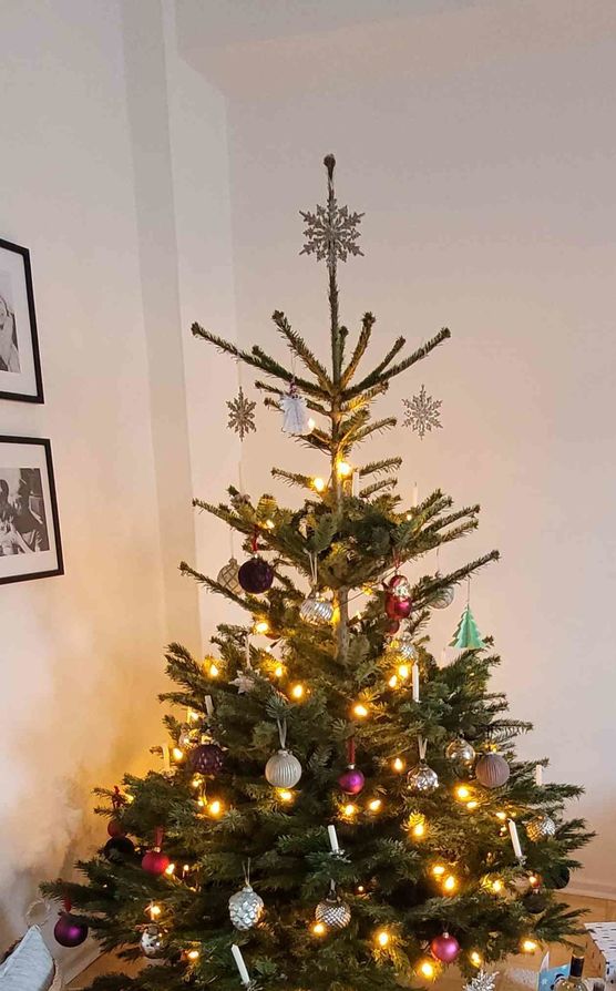 Bild von Hasenkind Bild von Hasenkind