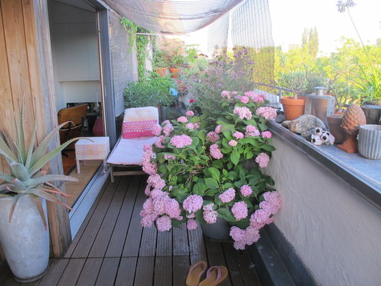 Sehnsucht nach Sommer! Eine Sehnsucht nach Sommer! Eine