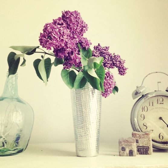 Fliederallala Fliederallala