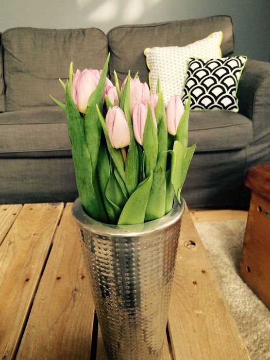 Tulpen aus Amsterdam Tulpen aus Amsterdam