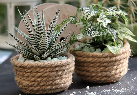 Eine Joghurtbecher verbirgt sich Eine Joghurtbecher verbirgt sich