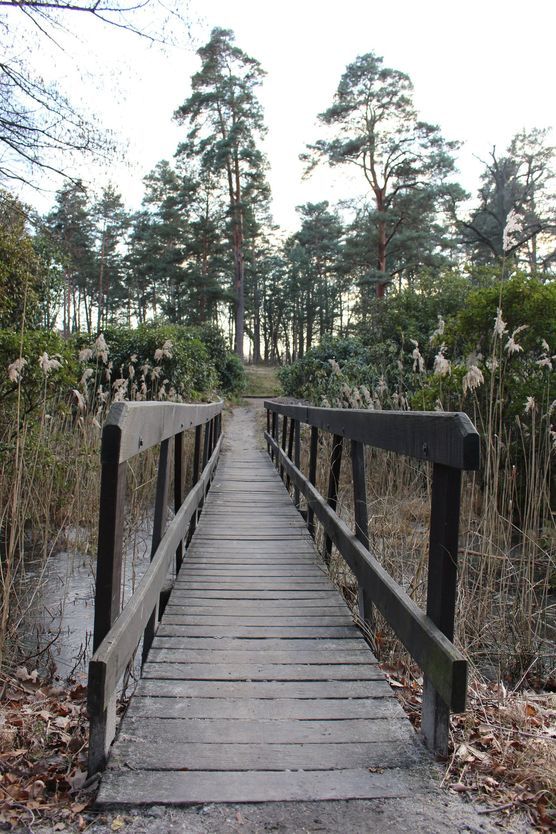 Spaziergang in der Kälte Spaziergang in der Kälte