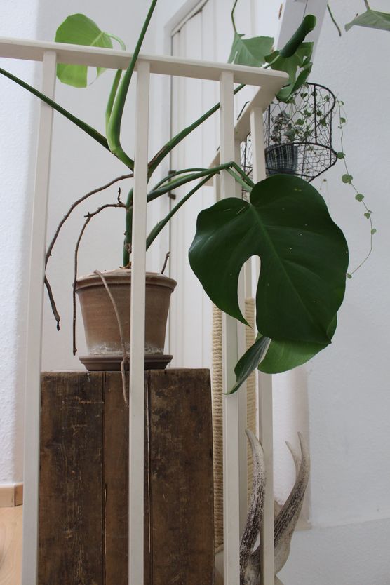 Lieblingstöne Lieblingstöne