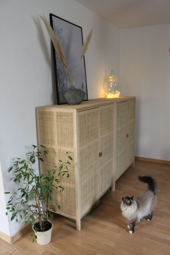 Katze und geliebter (noch Katze und geliebter (noch