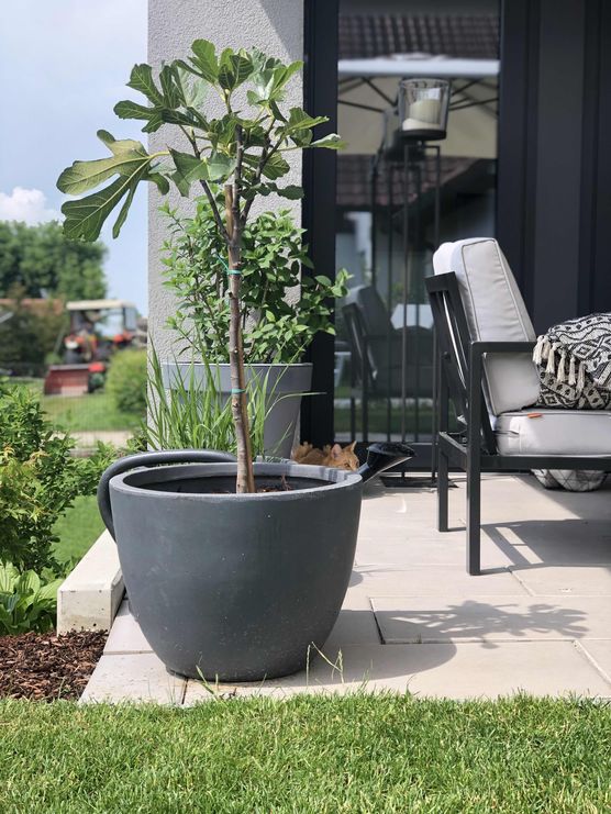 Bild von Königskram Bild von Königskram