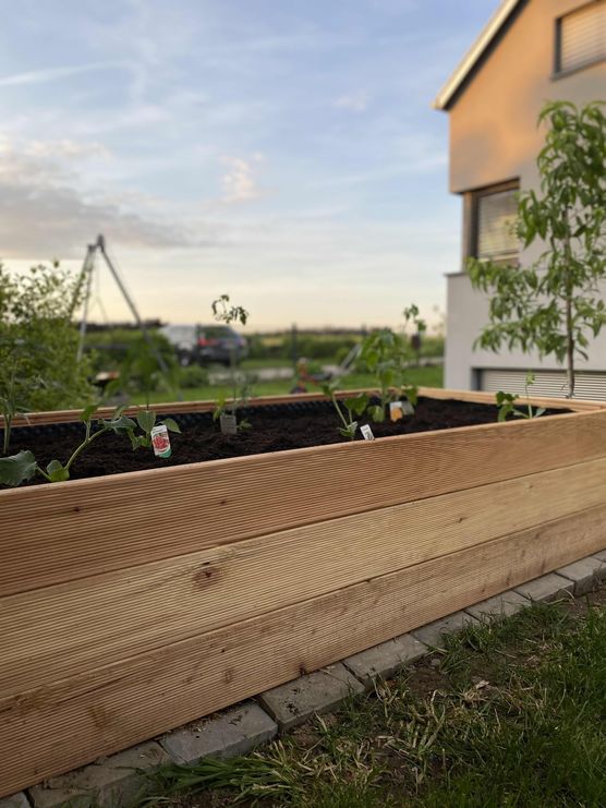 Bild von Königskram Bild von Königskram