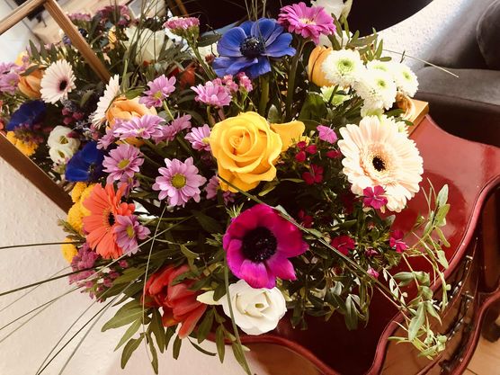 Bild von Minna Bild von Minna