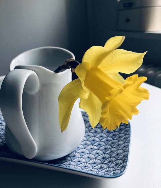 Bild von Minna Bild von Minna