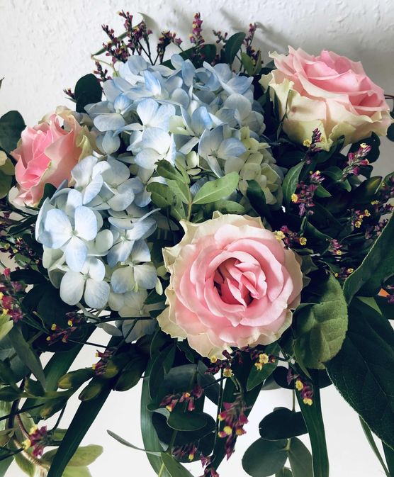 Bild von Minna Bild von Minna