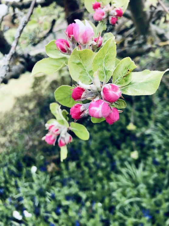 Bild von Minna Bild von Minna