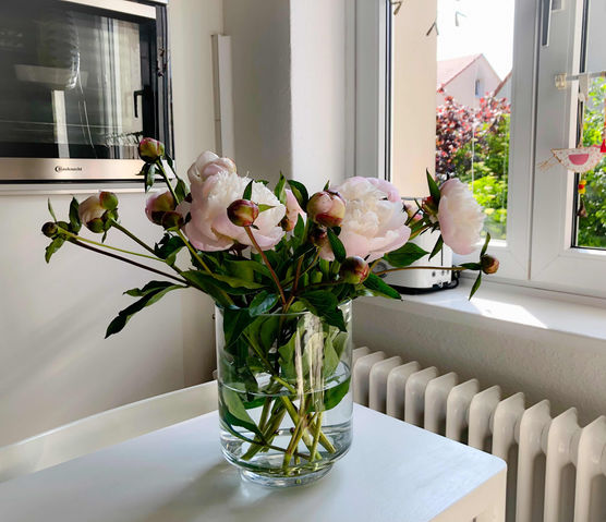 Bild von Minna Bild von Minna