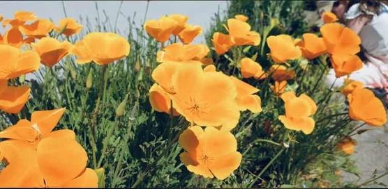 Bild von Minna Bild von Minna